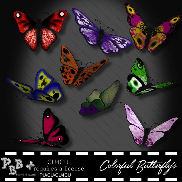 Colorful Butterfly's - Click Image to Close
