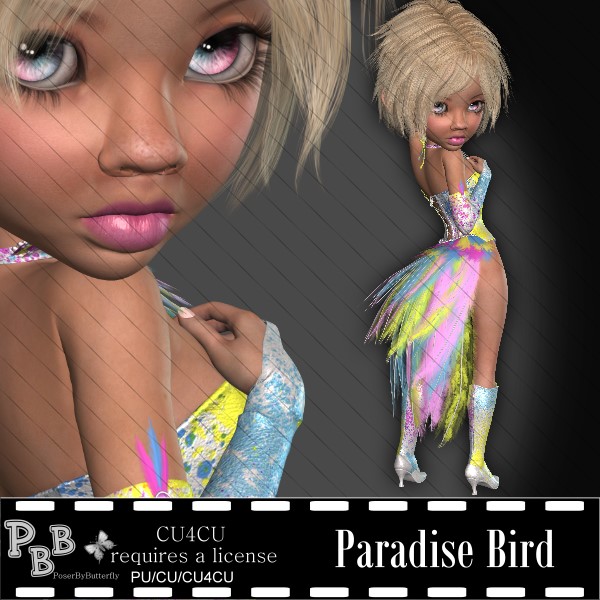 Paradise Bird - Click Image to Close