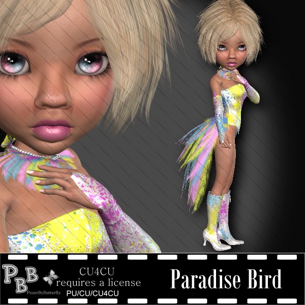 Paradise Bird
