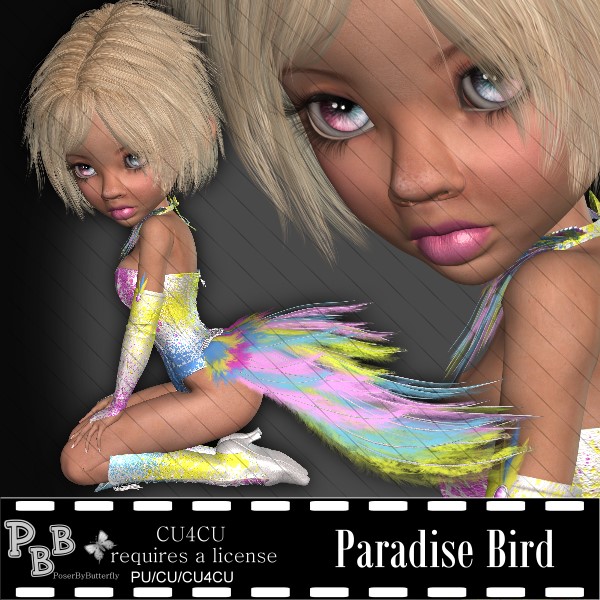 Paradise Bird - Click Image to Close