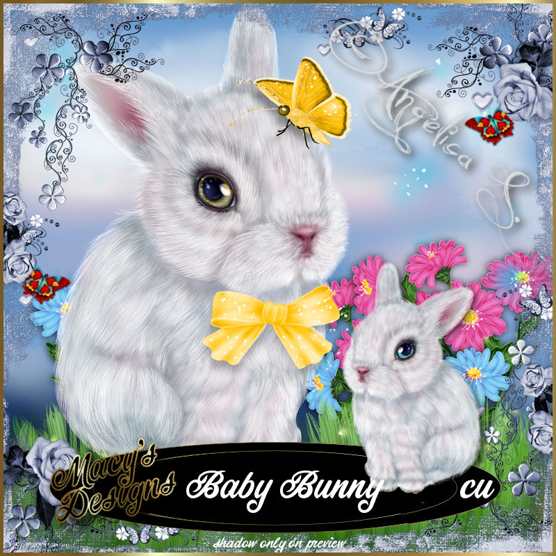Baby Bunny - Click Image to Close