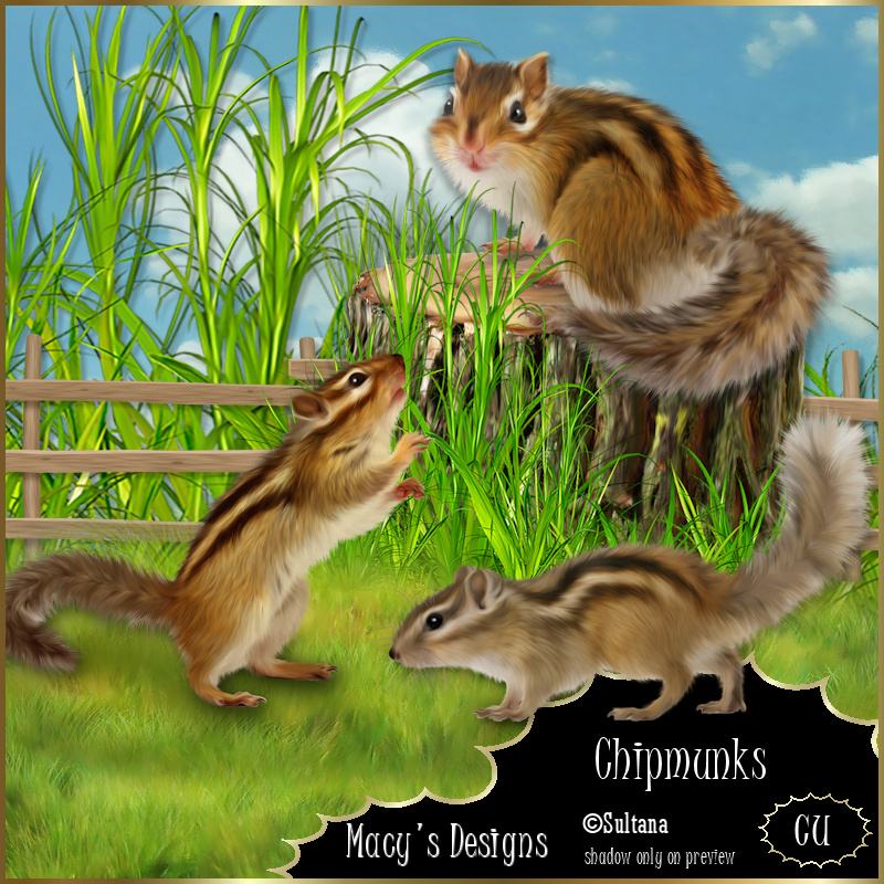 Chipmunks - Click Image to Close