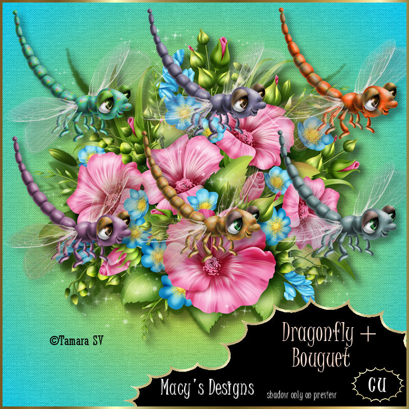 Dragonfly & Bouguet
