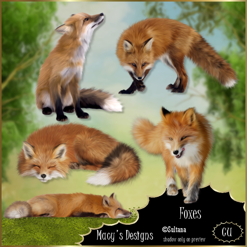 Foxes - Click Image to Close