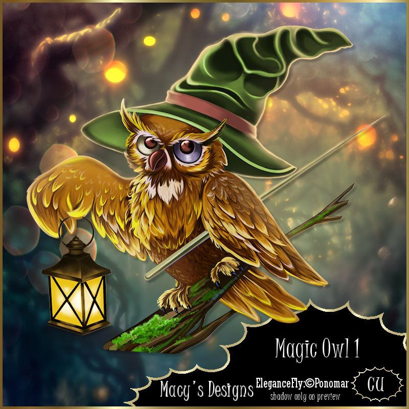 Magic Owl - Click Image to Close
