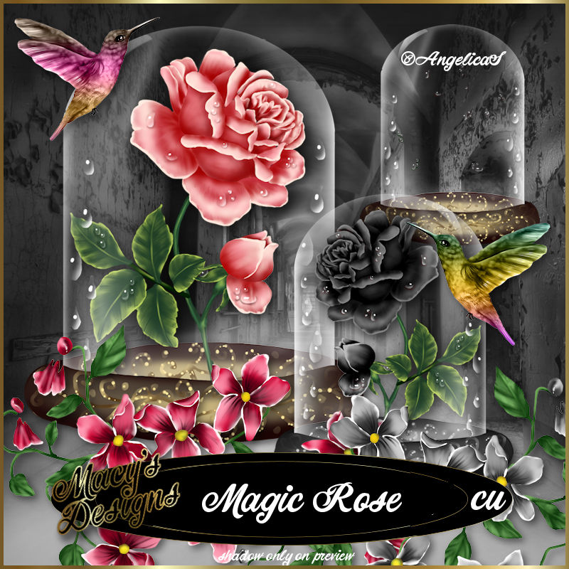 Magic Rose - Click Image to Close