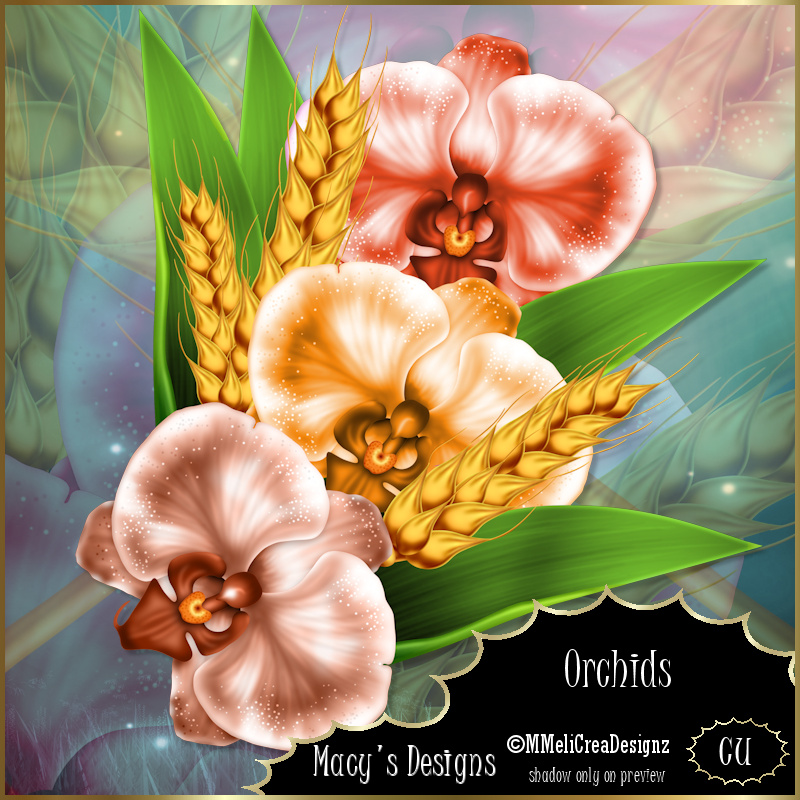Orchids - Click Image to Close