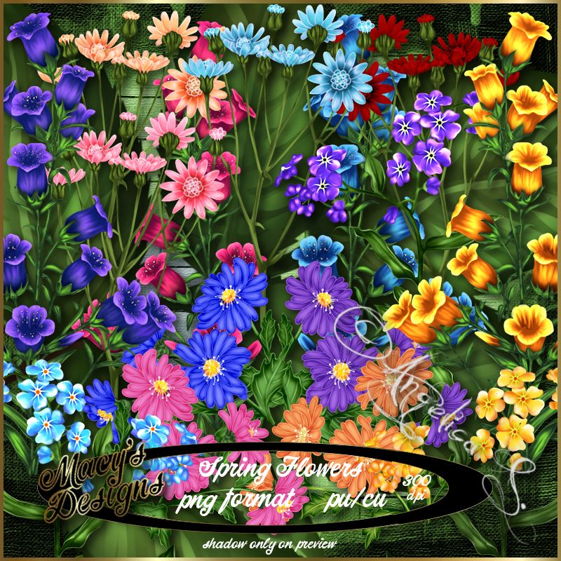 Spring Flowers - Click Image to Close