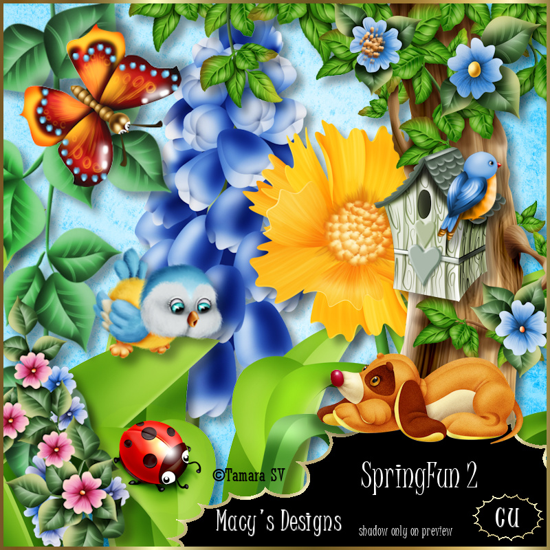 SpringFun 2 - Click Image to Close
