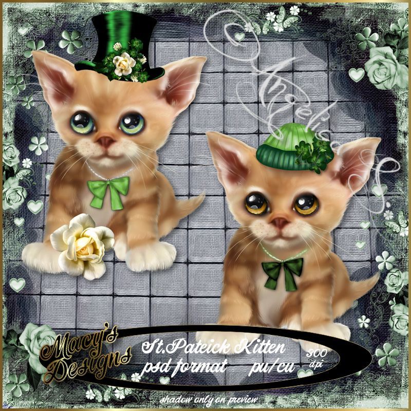 St.Patrick Kitten - Click Image to Close