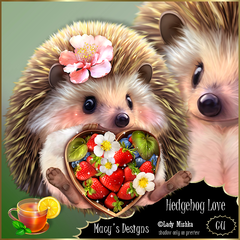Hedgehog Love - Click Image to Close