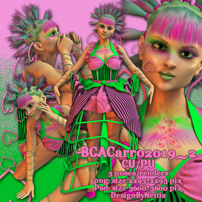 BCACarro2019_2