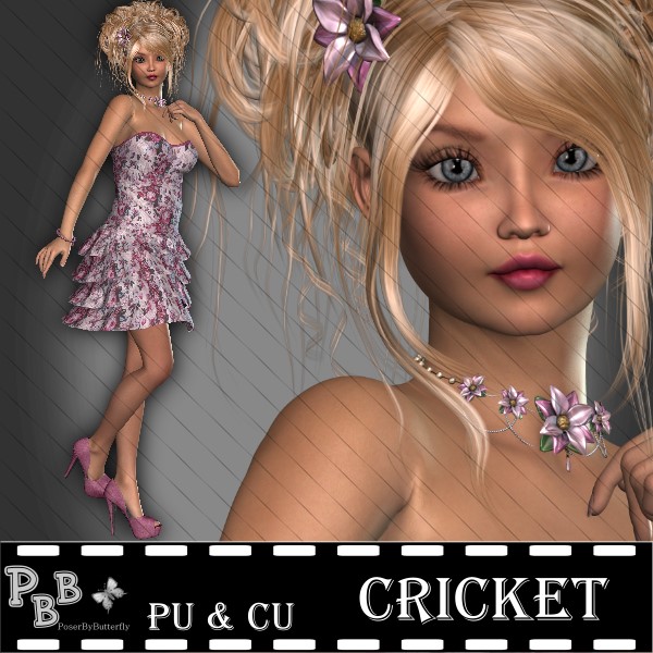 Cricket - Click Image to Close