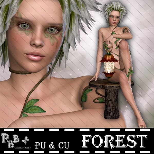 Forest - Click Image to Close