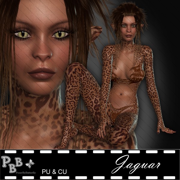 Jaguar - Click Image to Close