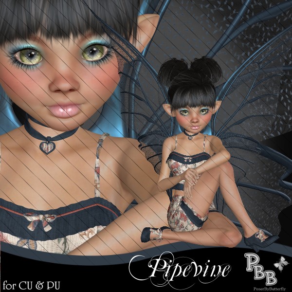 Pipevine - Click Image to Close