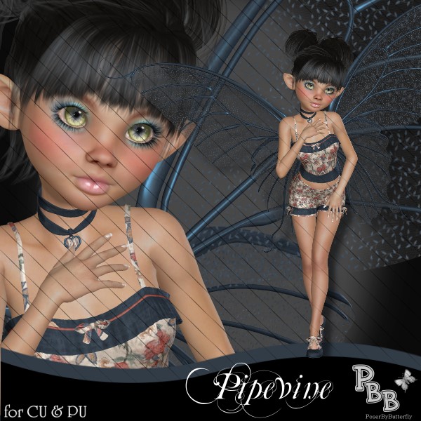 Pipevine