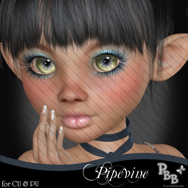 Pipevine