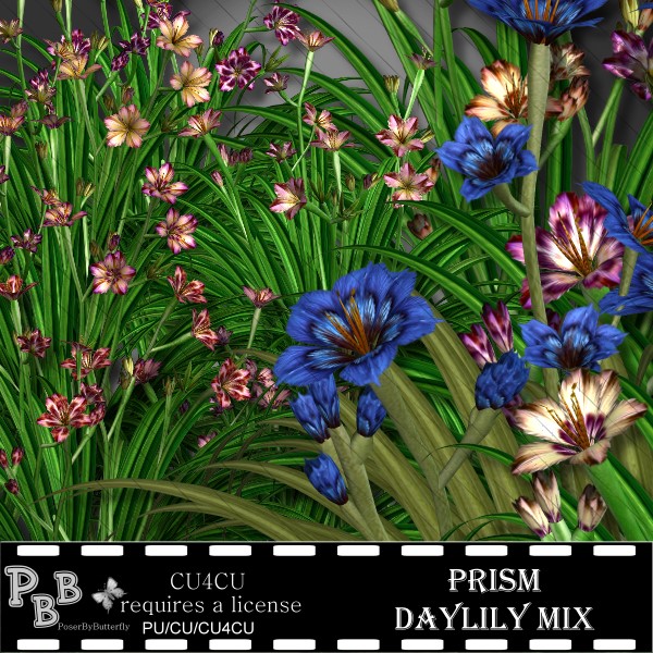 Prism Daylily Mix - Click Image to Close