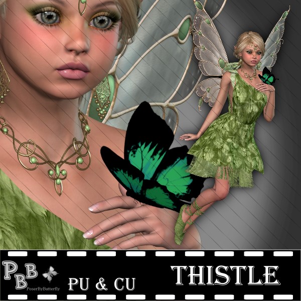 Thistle - Click Image to Close