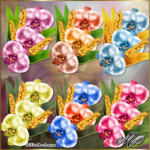 Orchids - Click Image to Close
