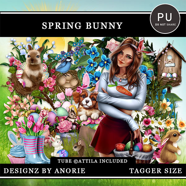 (image for) Spring Bunny