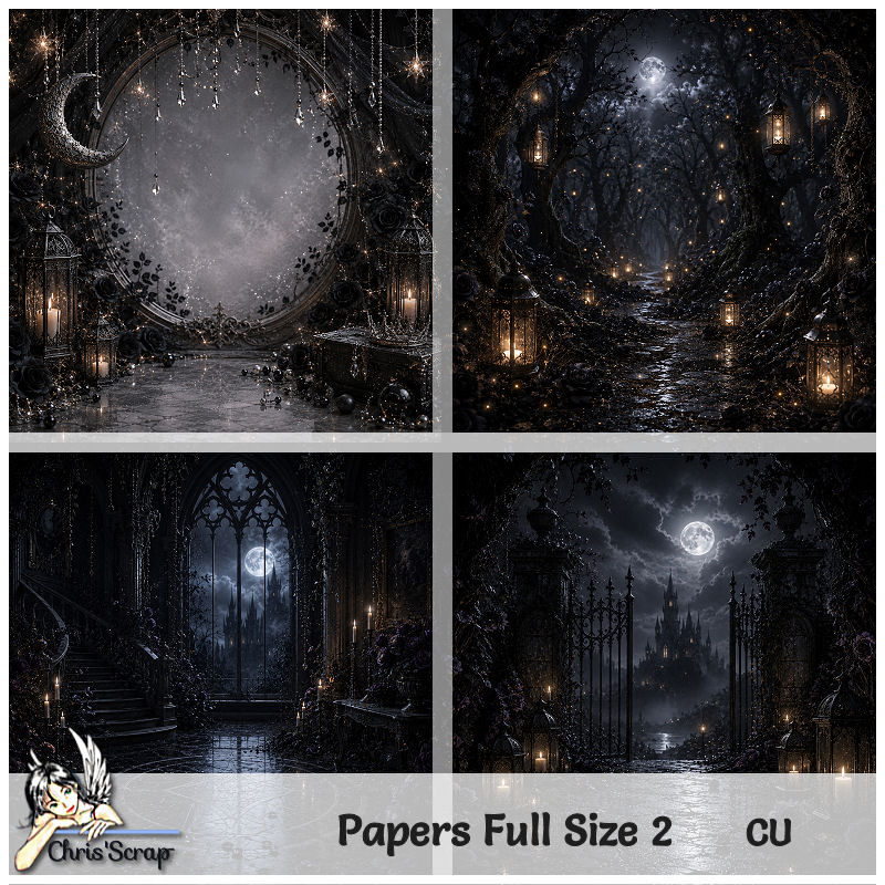 (image for) Chris - Papers Full Size 2