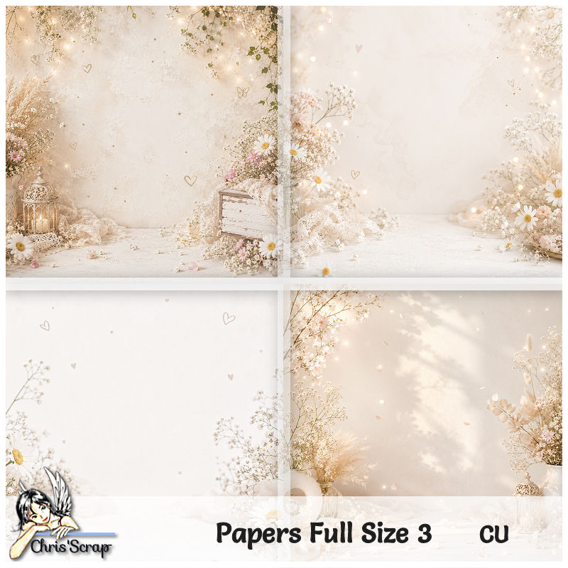 (image for) Chris - Papers Full Size 3