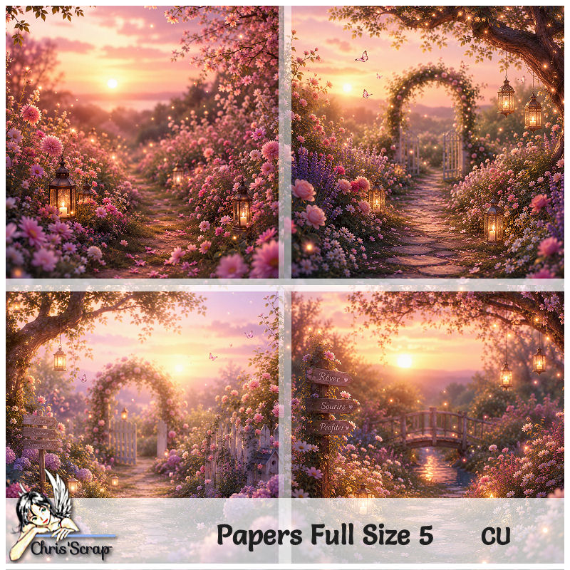 (image for) Chris - Papers Full Size 5