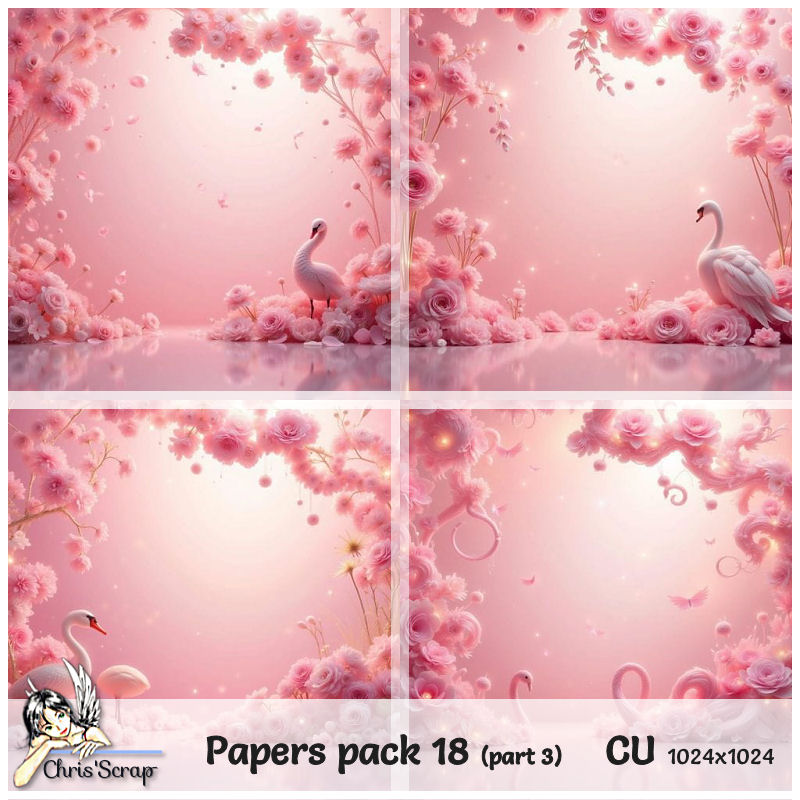 (image for) Chris - Papers pack 18_part 3