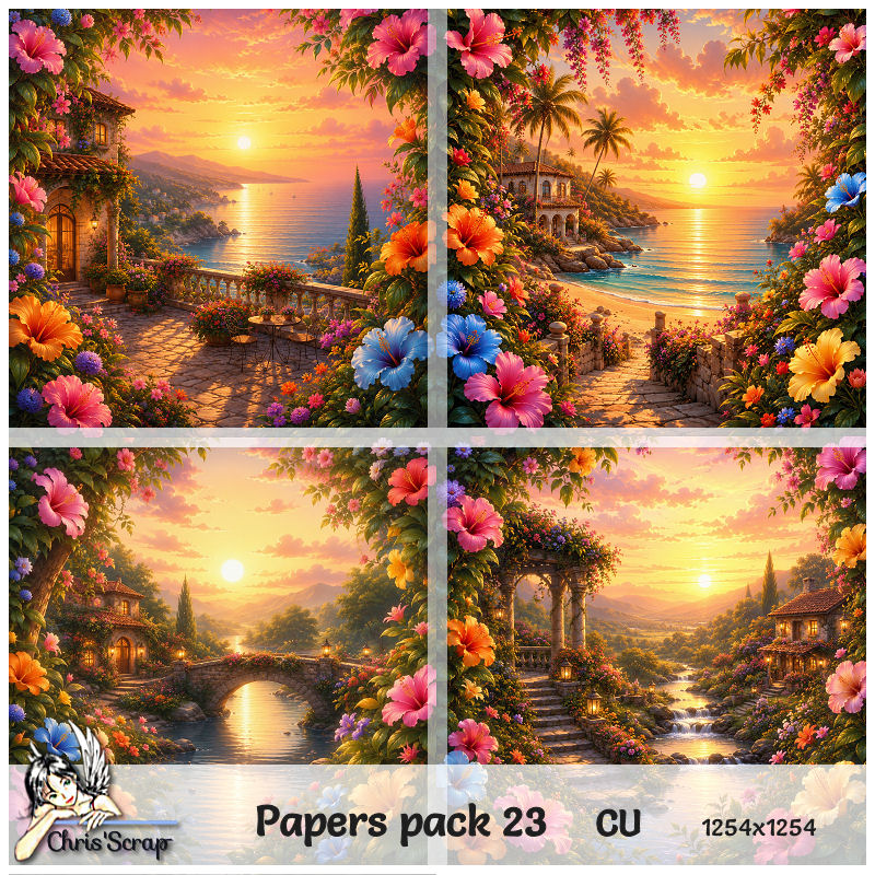 (image for) Chris - Papers pack 23