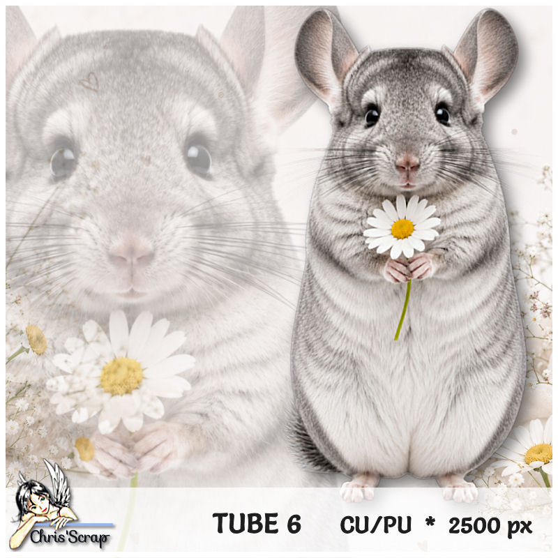 (image for) Chris -Tube 6