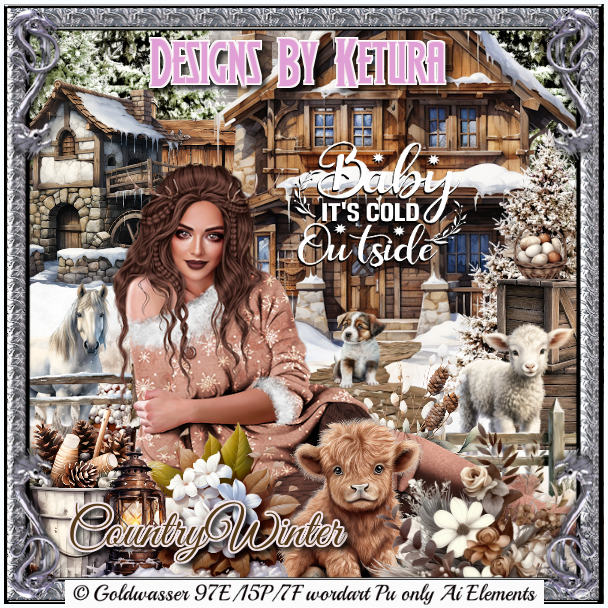 (image for) DBK_CountryWinter