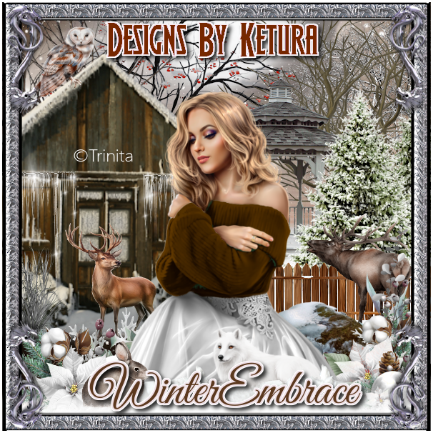 (image for) DBK_WintersEmbrace