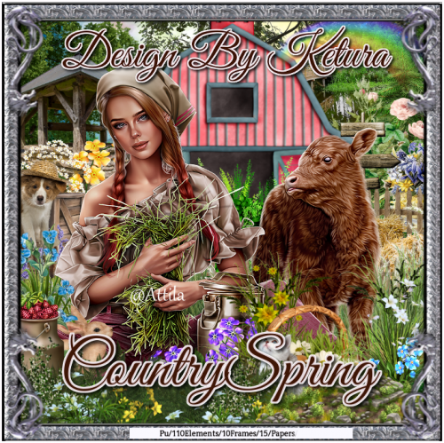 (image for) DBK_CountrySpring
