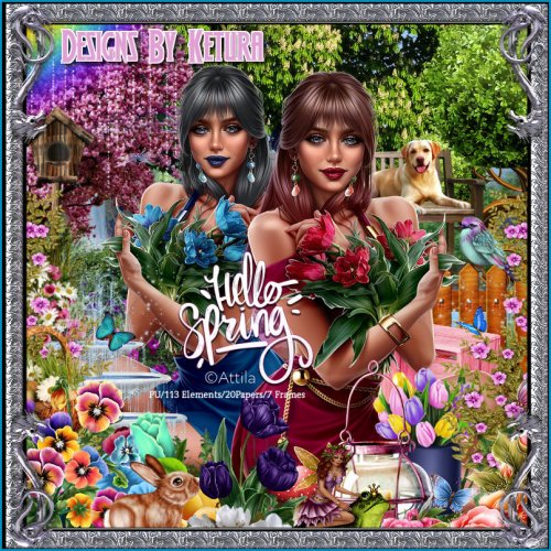 (image for) DBK Hello Spring