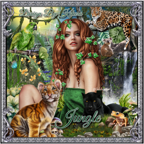 (image for) DBK_Jungle