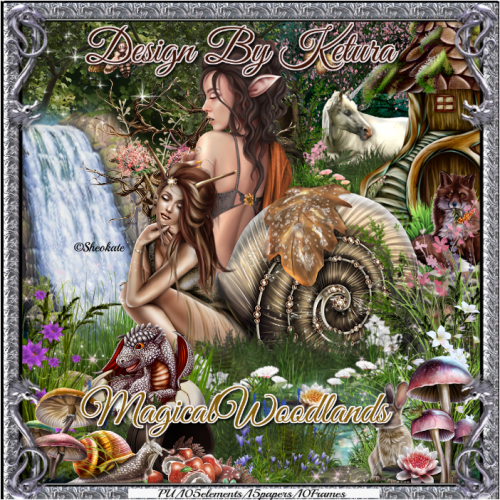 (image for) DBK_MagicalWoodlands