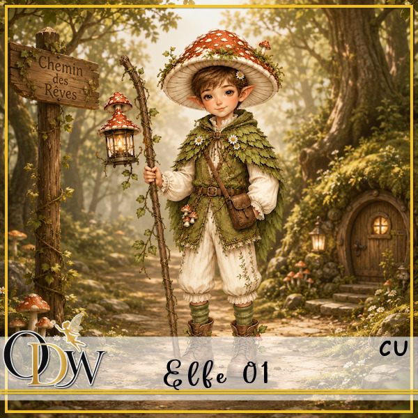 (image for) ODW elfe 01