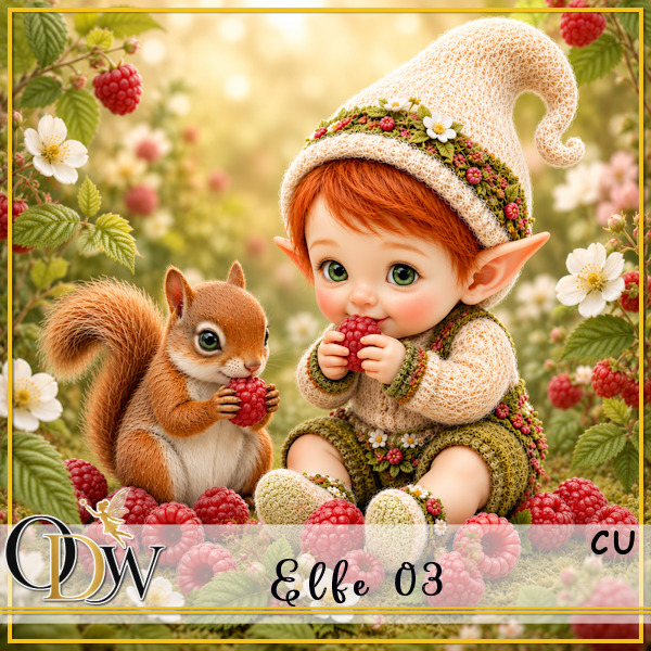 (image for) ODW elfe 03