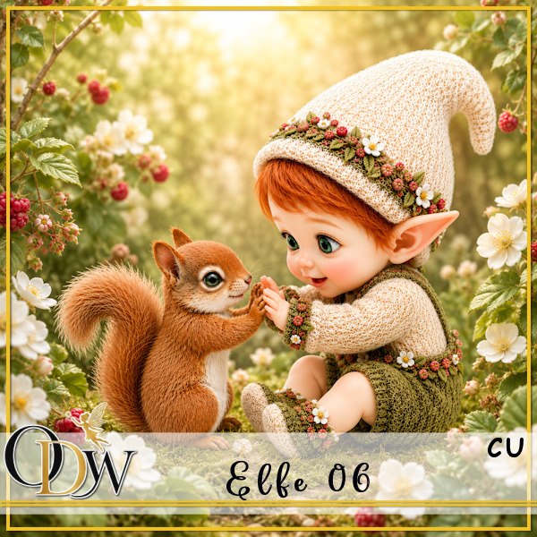 (image for) ODW elfe 06