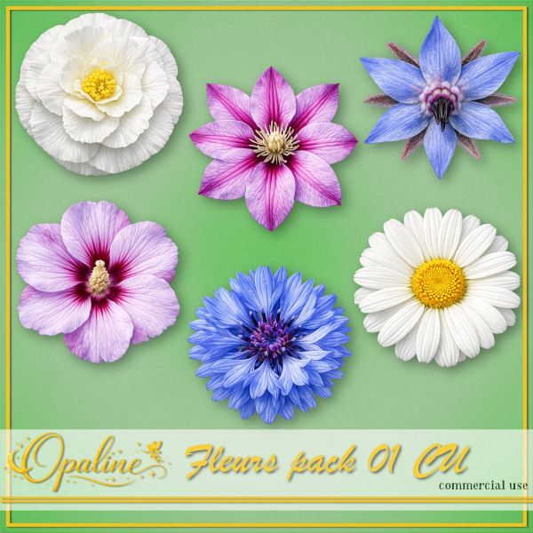 (image for) ODW flowers 01