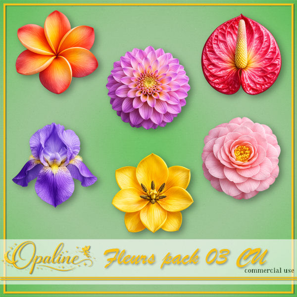 (image for) ODW flowers 03