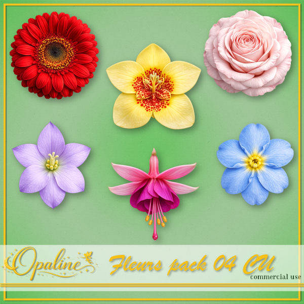 (image for) ODW flowers 04