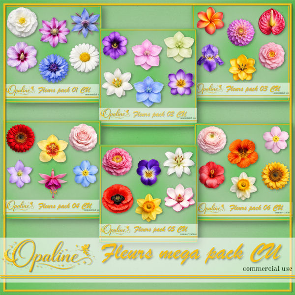 (image for) ODW flowers bundle