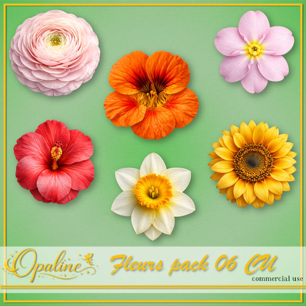 (image for) ODW flowers 06