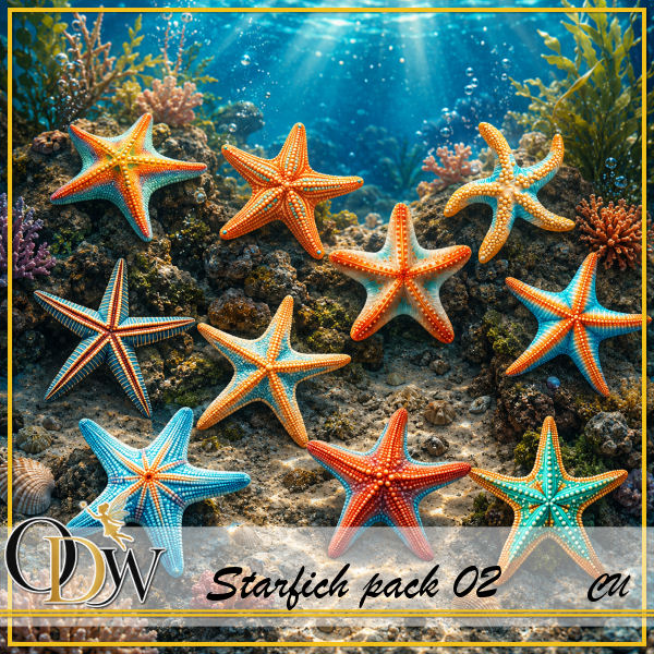 (image for) ODW starfish 02