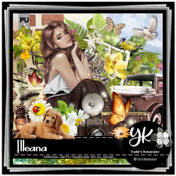 (image for) llleana